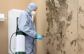 Best Forensic Mold Investigation  in Bangor, MI